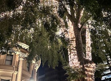 australia/brisbane/attraction/the-tree-of-lights