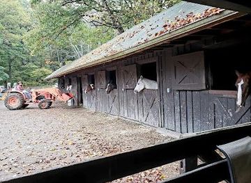 virginia/harrisonburg/attraction/skyland-stables