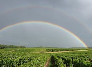 france/tours/attraction/rendez-vous-dans-les-vignes