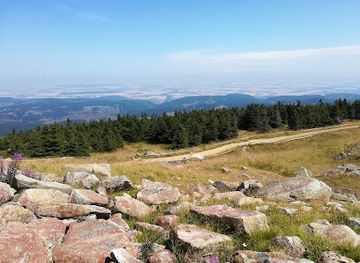 germany/harz-mountains/attraction/brocken-garden