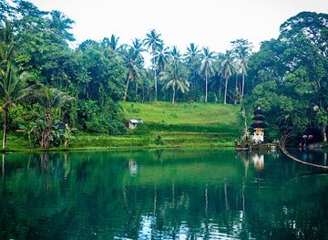 indonesia/west-nusa-tenggara/attraction/sangeh-monkey-forest