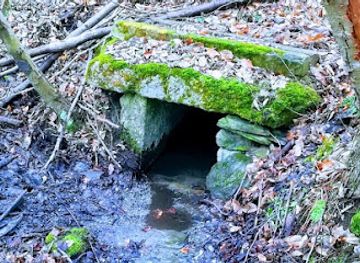 austria/neusiedler-see/attraction/doktorbrundl-breitenbrunn