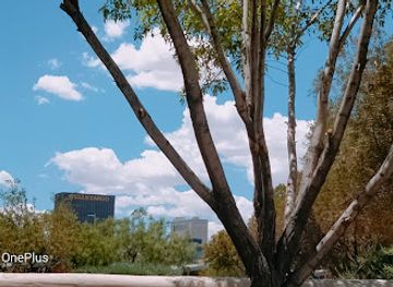 texas/el-paso/westside/attraction/magoffin-home-state-historic-site