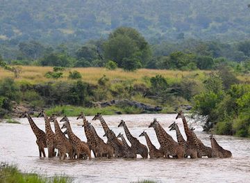 kenya/maasai-mara-national-reserve/attraction/mara-north-conservancy