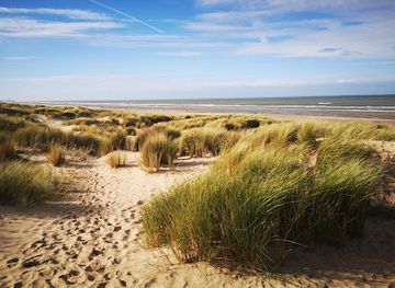 belgium/west-flanders/attraction/steps-to-dunes