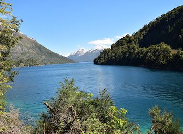 chile/patagonia/attraction/puente-arroyo-la-angostura