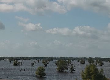 louisiana/bayou-teche/attraction/lake-bigeaux