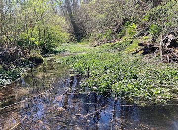rhode-island/trustom-pond-national-wildlife-refuge/attraction/mill-pond-preserve