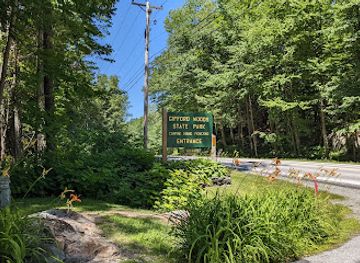 vermont/killington-ski-area/attraction/gifford-woods-state-park