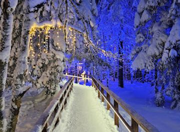 finland/kuopio/attraction/finnish-animals-ar-experience-puijo