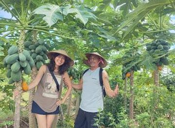 vietnam/hanoi/attraction/manh-s-farm-tour-and-home-cooking-class-in-hanoi