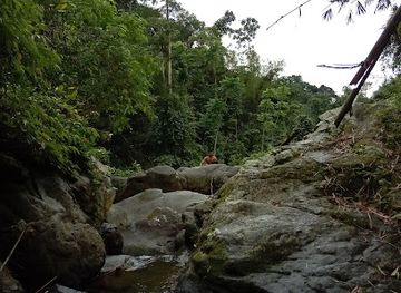 philippines/cebu/attraction/dakit-falls