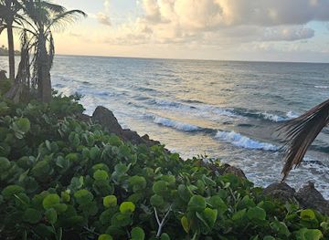 puerto-rico/arecibo/attraction/arecibo-promenade