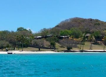 saint-vincent-and-the-grenadines/tobago-cays-marine-park/attraction/froggy-s-reef-tours-snorkeling-carriacou