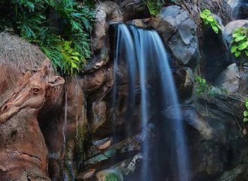 florida/orlando/attraction/discovery-island-trails