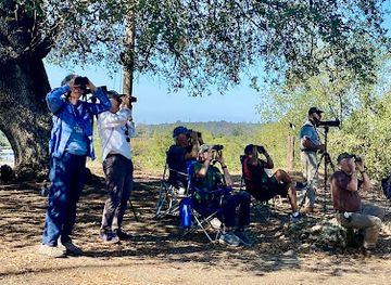 california/gold-country/attraction/turkey-vulture-watch-site