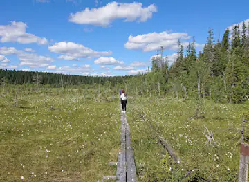 Paljakka Strict Nature Reserve