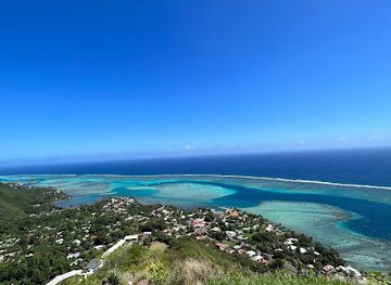 french-polynesia/tahiti-iti/attraction/safari-mario-moorea