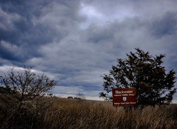 maryland/blackwater-national-wildlife-refuge/attraction/blackwater-national-wildlife-refuge-bishop-s-head-point-division