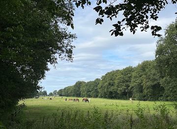 netherlands/gooi/attraction/de-korte-duinen