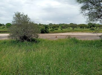 tanzania/arusha/attraction/magogo-safari-adventures