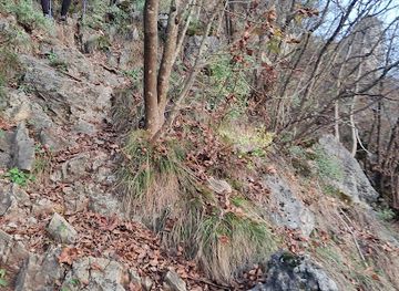 slovenia/posavje/attraction/westrova-pot