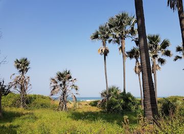 the-gambia/baboon-island/attraction/bijilo-national-park