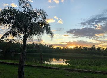 paraguay/ypacarai/attraction/duck-lake
