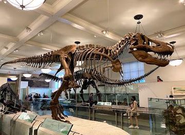 new-jersey/paterson/attraction/american-museum-of-natural-history