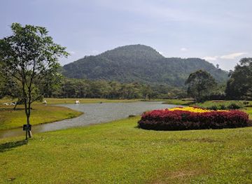 sri-lanka/gampaha-district/attraction/kumari-ella