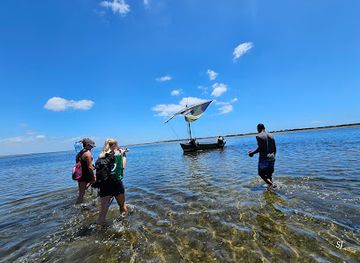 mozambique/tofo-beach/attraction/coco-adventure-village