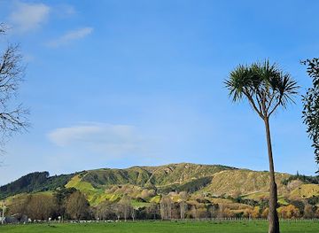 new-zealand/gisborne/attraction/gray-s-bush-scenic-reserve