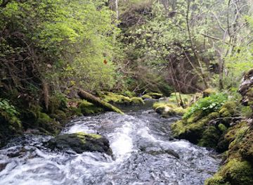 romania/bihor-mountains/attraction/izbucul-de-la-cotetul-dobrestilor