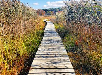 Little Pond Boardwalk Trail