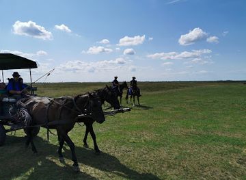 hungary/hortobagy/attraction/hortobagy-nature-conservation-and-gene-preservation-office