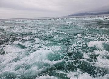 japan/awaji/attraction/naruto-park