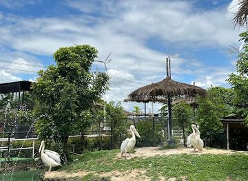 thailand/lanna/attraction/lanna-mini-zoo