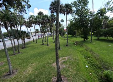 florida/daytona-beach/attraction/daytona-beach-zipline-adventure-by-treetop-trekking