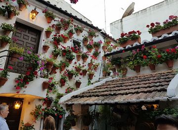 spain/cordoba/san-basilio/attraction/casa-patio-martin-roa-7