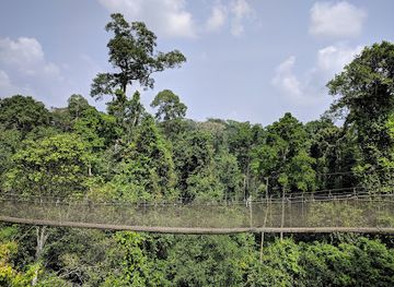 togo/central-region/attraction/kakum-national-park