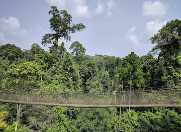 Kakum National Park