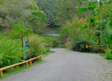 trinidad-and-tobago/gasparee-caves/attraction/pointe-a-pierre-wildfowl-trust