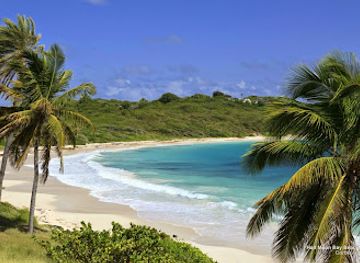 antigua-and-barbuda/barbuda/attraction/half-moon-bay-beach
