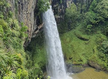 new-zealand/whanganui/attraction/queens-park