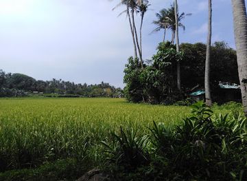 philippines/cagayan-valley/attraction/magapit-suspension-bridge