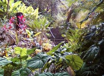barbados/holetown/attraction/andromeda-botanic-gardens
