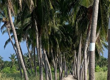 maldives/gnaviyani-atoll/attraction/vaau-magu