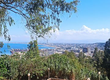 algeria/algiers/attraction/tifariti-laperlier-garden