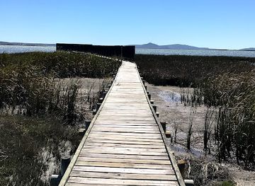south-africa/west-coast-national-park/attraction/geelbek-bird-lookout