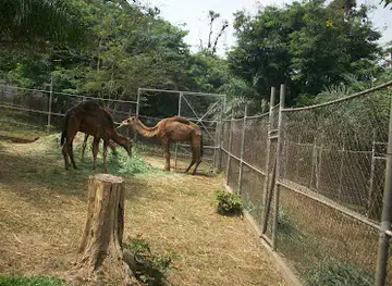 Kumasi Zoological Gardens